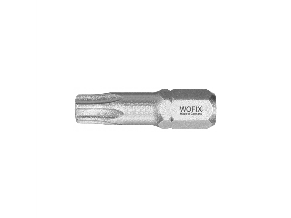 Torx bitten